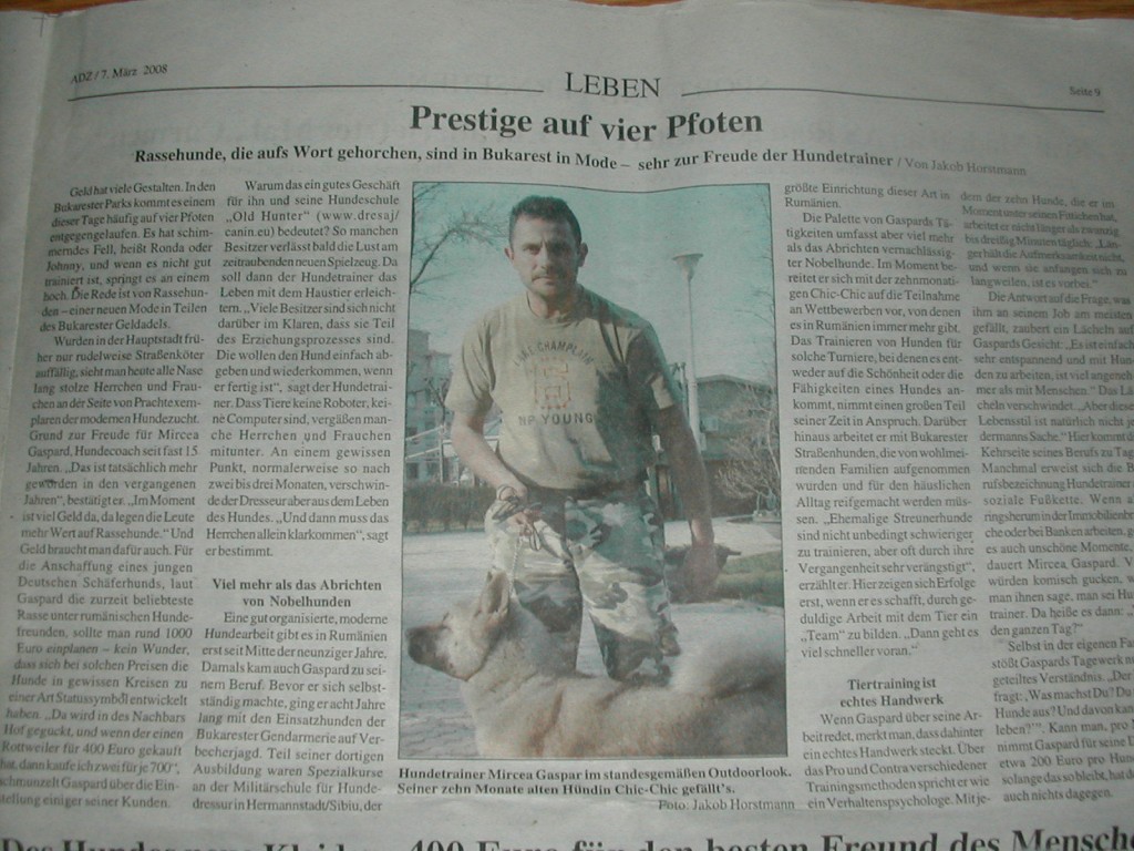 Dresaj canin in Romania Zeitung